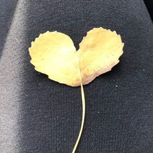 Meet your Posher, Cathy